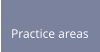 Practice areas